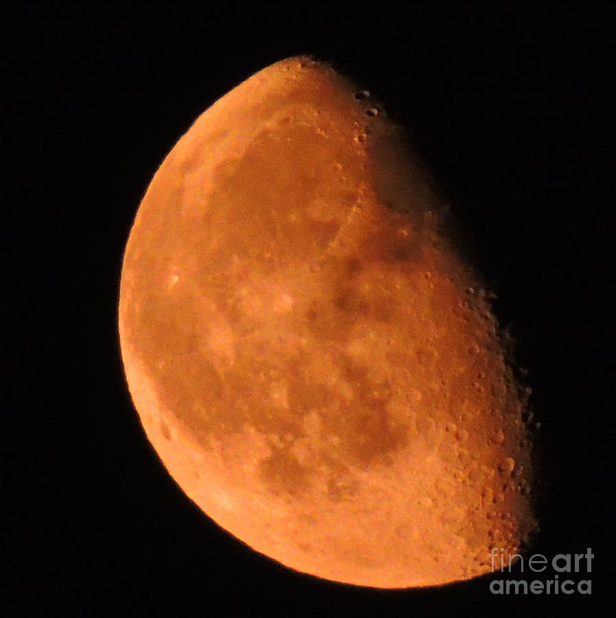 Red Moon Photograph by Mim White