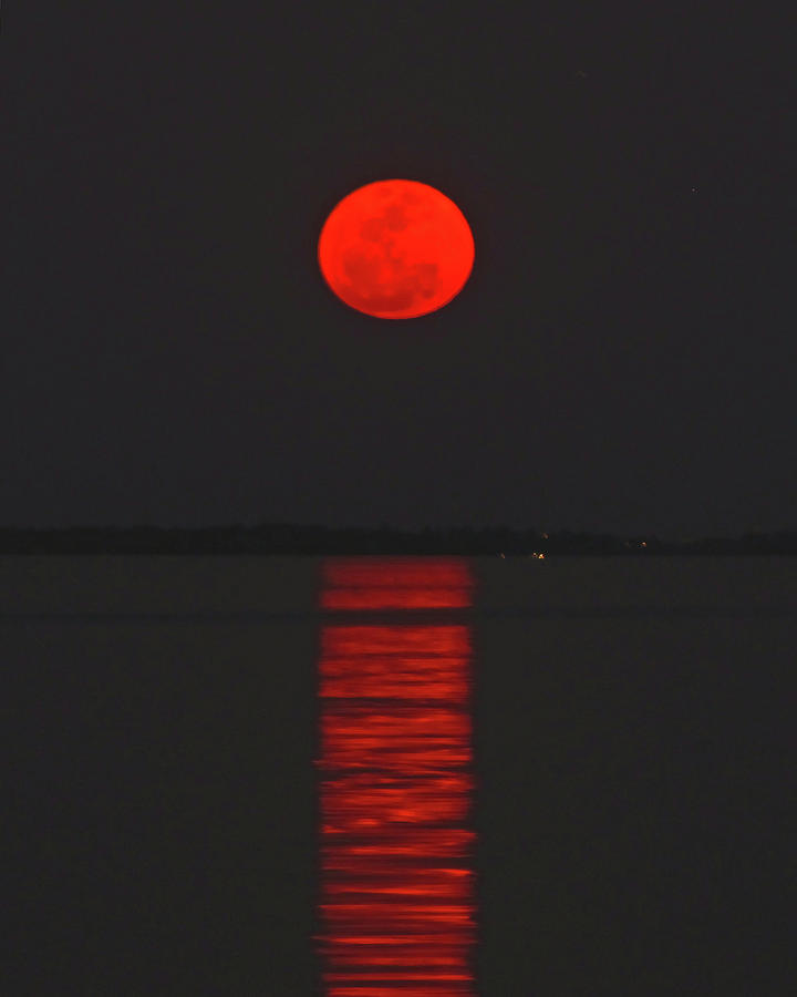 Red Moon Rising  Photograph by Peggy Urban