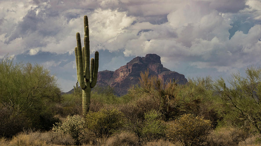 Red Mountain Arizona  Photograph by Saija Lehtonen