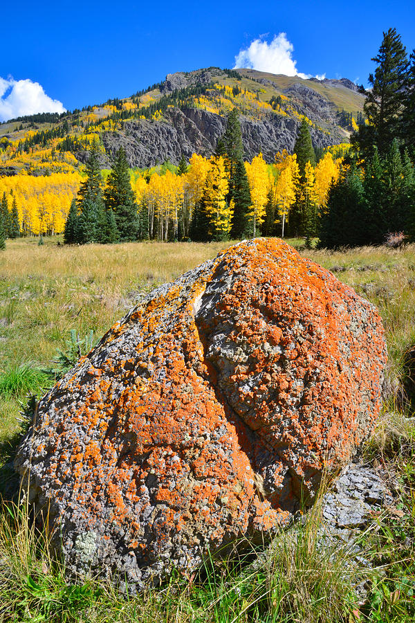 Red Mountain Boulder Photograph by Ray Mathis