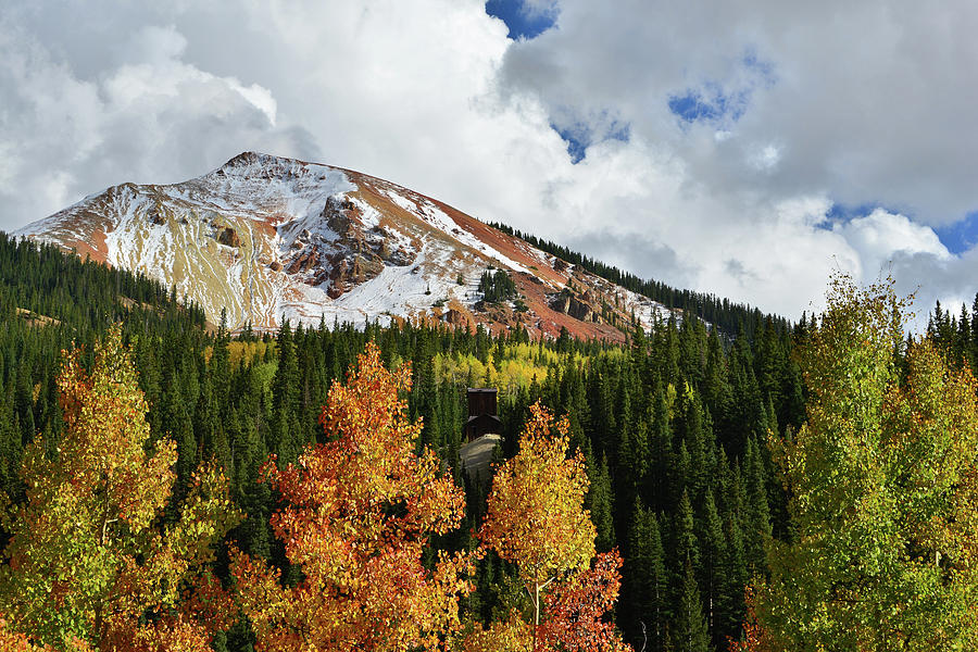 Red Mountain Fall Color Aspens Photograph by Ray Mathis