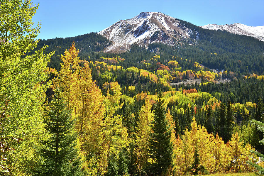 Red Mountain Fall Color Photograph by Ray Mathis