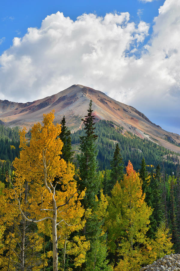 Red Mountain Fall Photograph by Ray Mathis