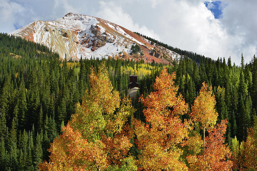 Red Mountain Multicolored Aspens Photograph by Ray Mathis
