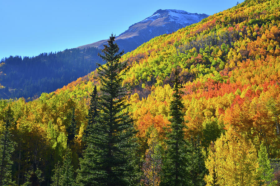 Red Mountain Pass Fall Color Photograph by Ray Mathis
