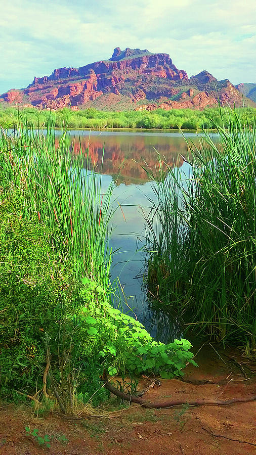 Red Mountain @ Salt River by Cheryl Fecht Red Mountain @ Salt River by Cheryl Fecht