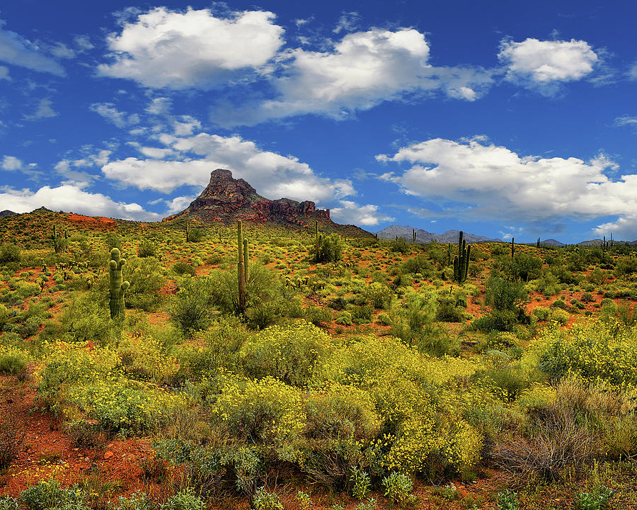 Red Mountain, Springtime, Arizona Photograph by Don Schimmel