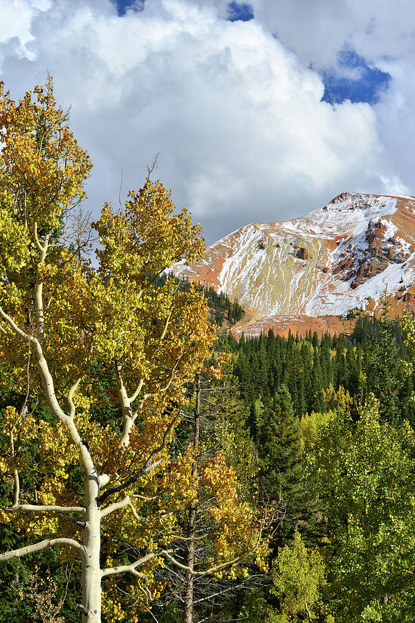 Red Mountain Thunderheads and Aspens Photograph by Ray Mathis