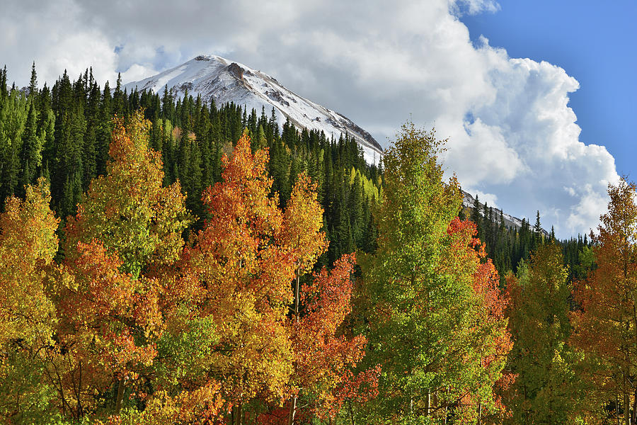 Red Mountains Multicolored Aspens Photograph by Ray Mathis
