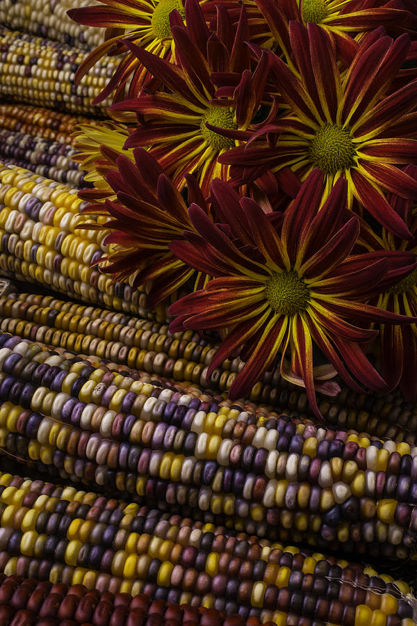 Red Mums And Indian Corn Photograph by Garry Gay