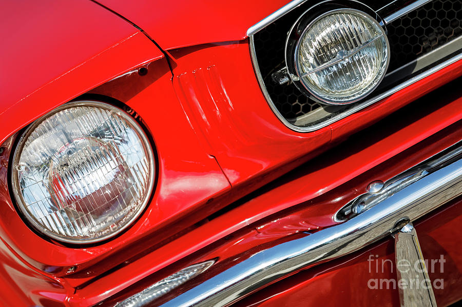 Red Mustang Photograph by Dennis Hedberg