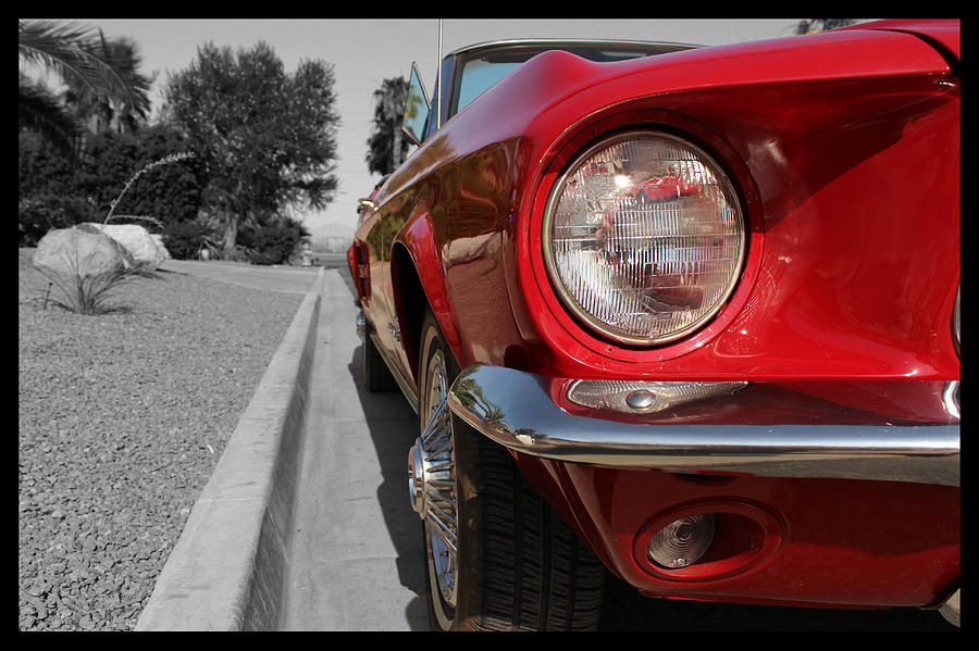 Red Mustang  Photograph by Derek Bratton