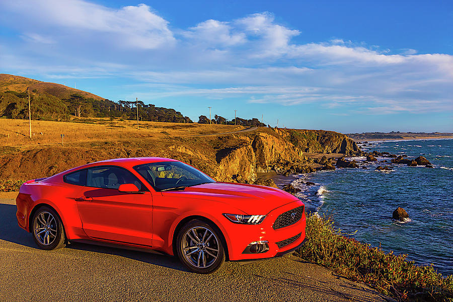 Red Mustang Sonoma Coast Photograph by Garry Gay