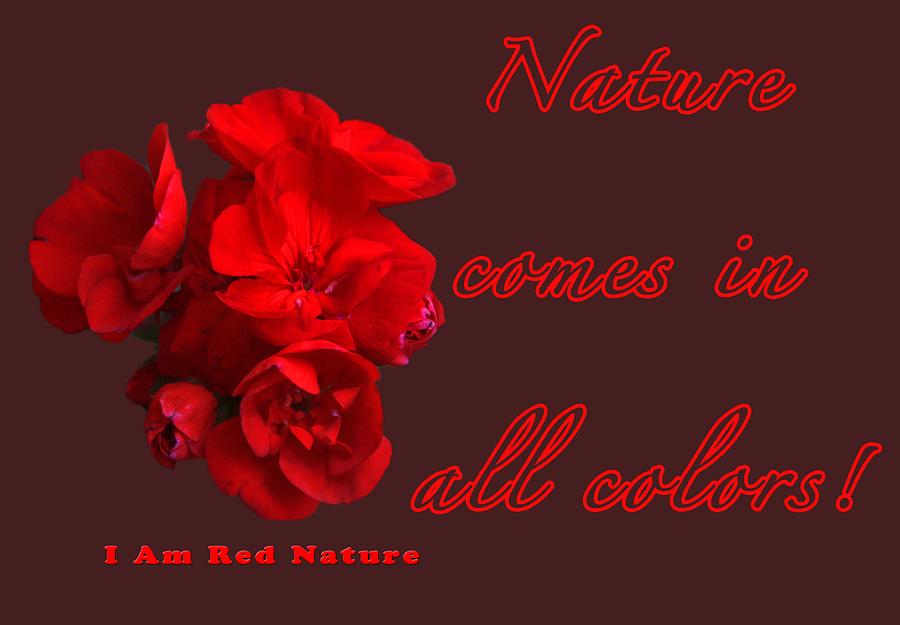 Red Nature Photograph by Terry Wallace