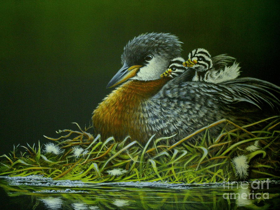 Red Necked Grebe Painting by Greg and Linda Halom