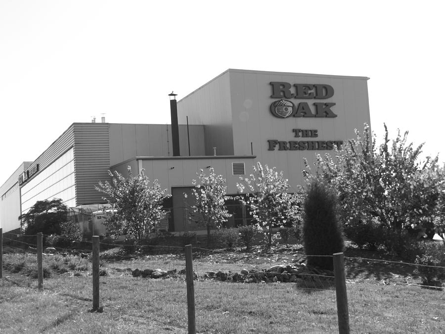 Red Oak Brewery Photograph by Rob Tudor Fine Art America