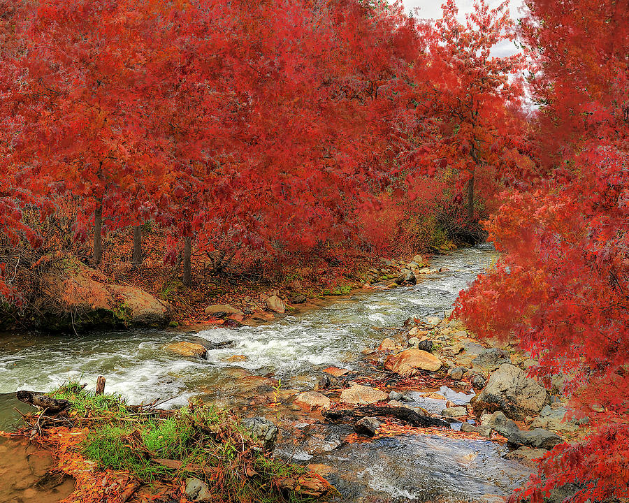 Red Oak Creek Photograph by Scott Cordell