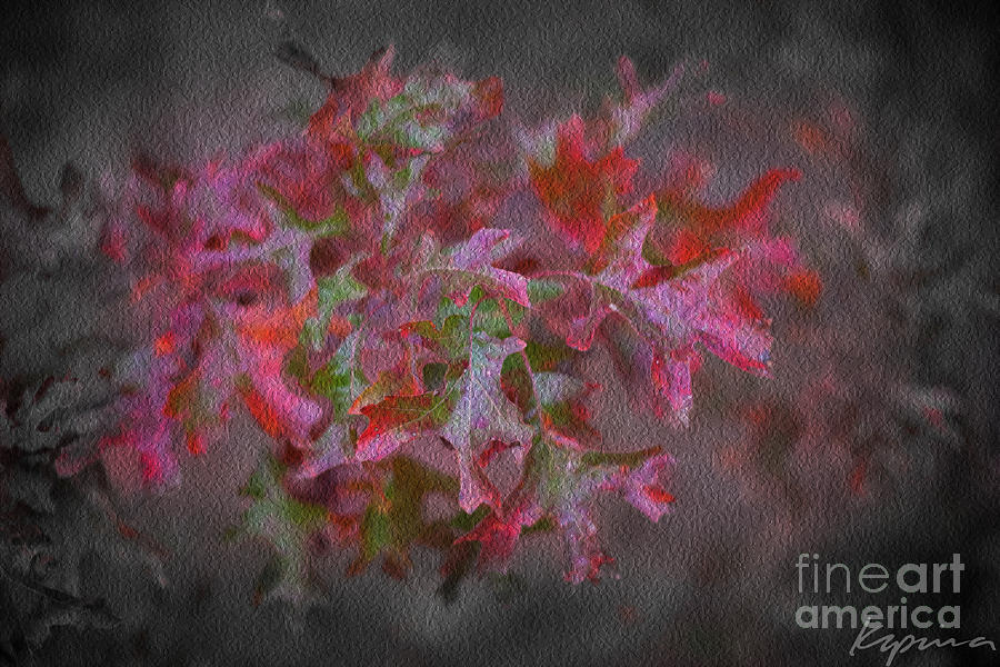 Red Oak Leaves, Grapevine Texas Photograph by Greg Kopriva