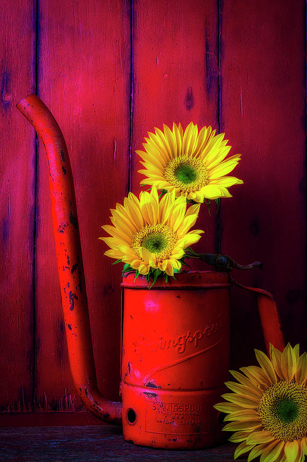 Red Oil Can And Sunflowers Photograph by Garry Gay