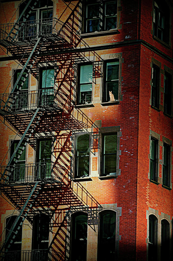 Harlem Photograph - Red Hot Fire Escape by Diana Angstadt