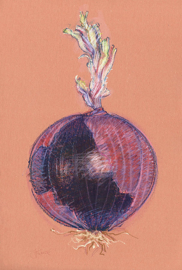 Red Onion Drawing by Judith Kunzle