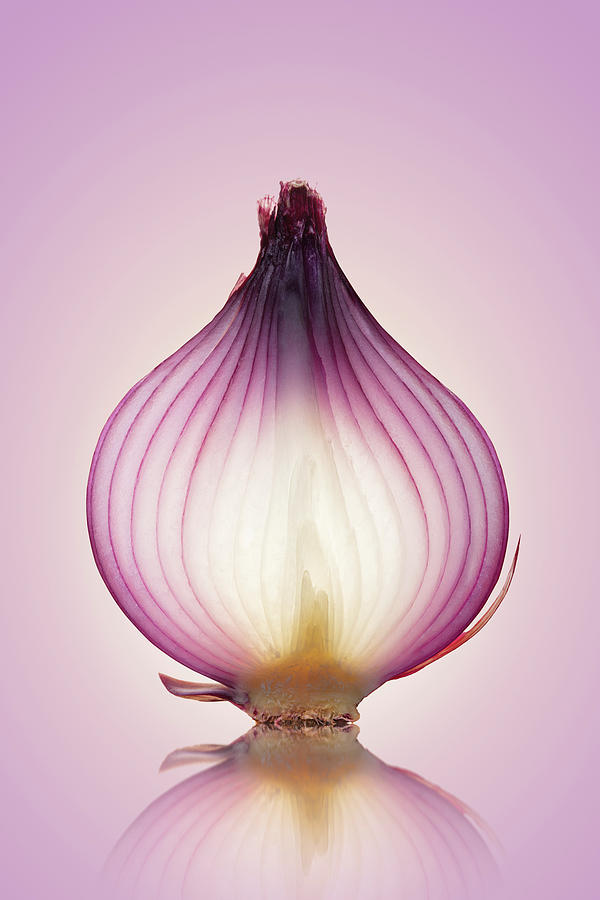 Onion Photograph - Red Onion Translucent layers by Johan Swanepoel
