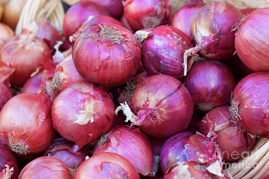 Red Onions at the Farmers Market Photograph by Bruce Block