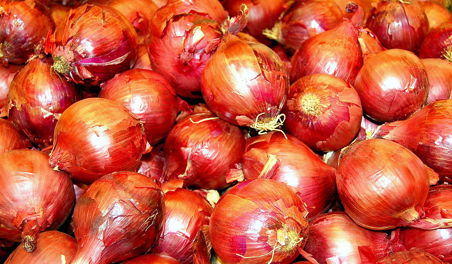 Red Onions Photograph by Mia Alexander