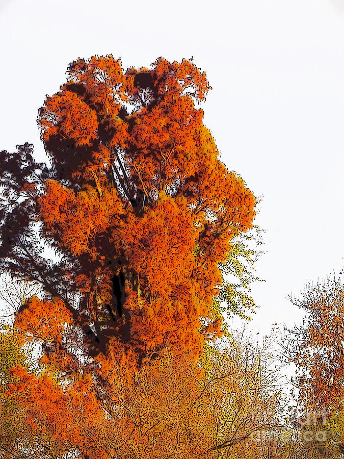 Red-Orange Fall Tree Digital Art by Craig Walters