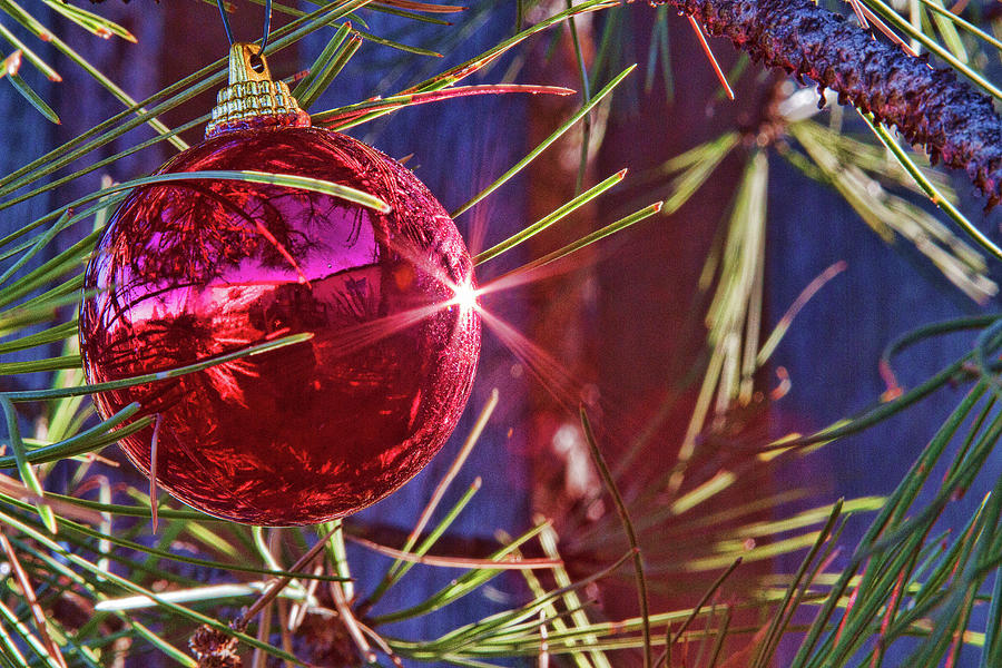 Red Ornament Photograph by Alana Thrower