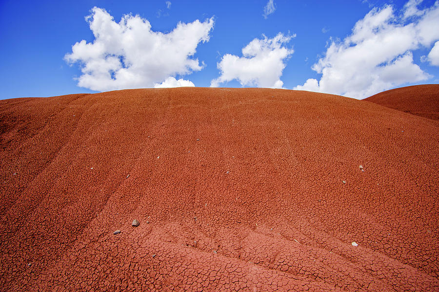 Red Painted Hills Photograph