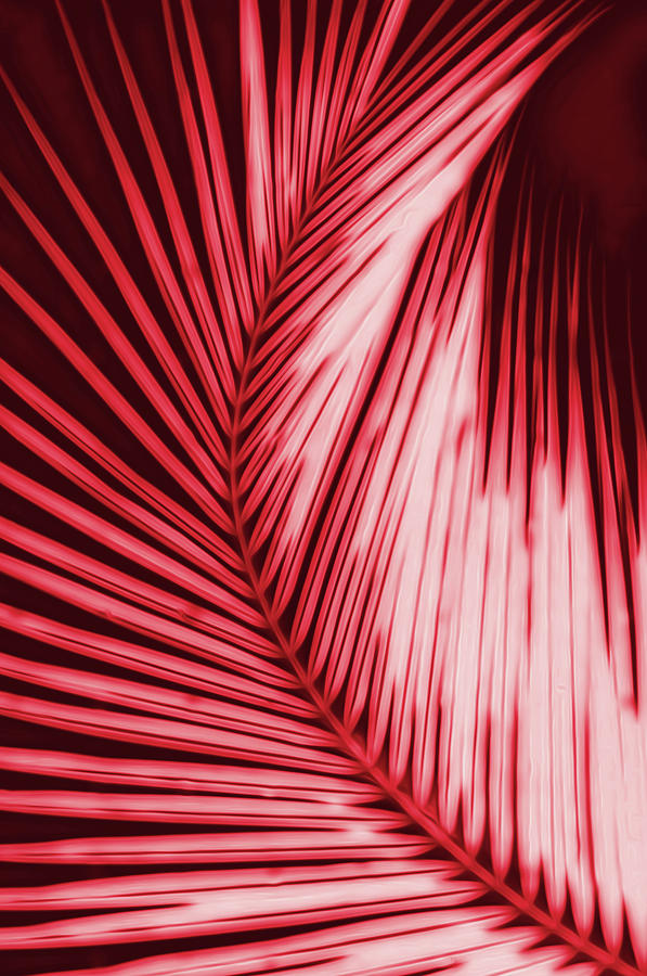 Red Palm Fantasy Painting by AM FineArtPrints