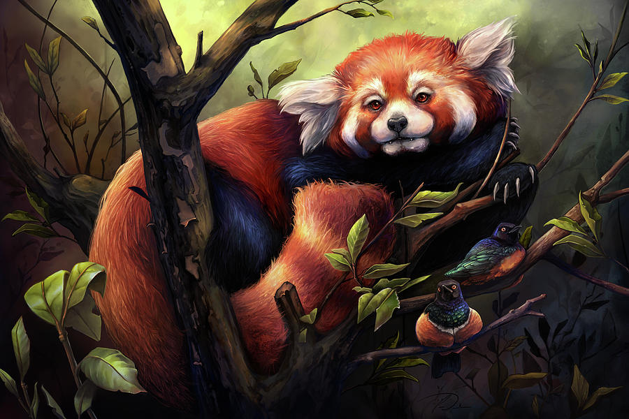 Atlanta Digital Art - Red Panda by Cass Womack