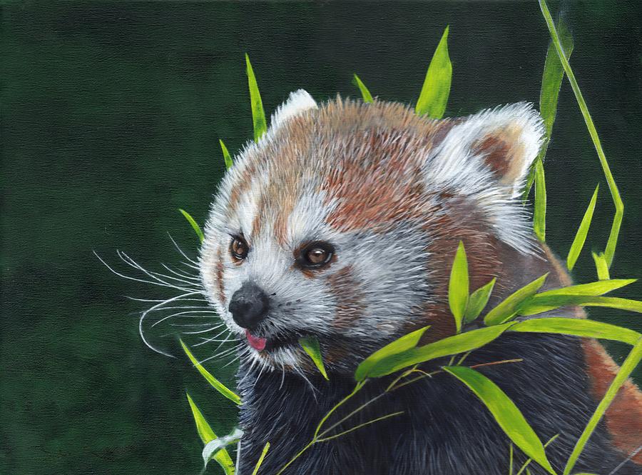 Red Panda Painting By John Neeve Fine Art America