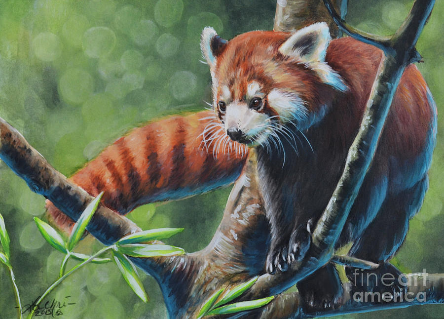 Red Panda Painting by Lachri