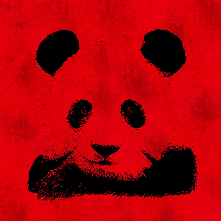 Animal Digital Art - Red Panda by Laura Brightwood