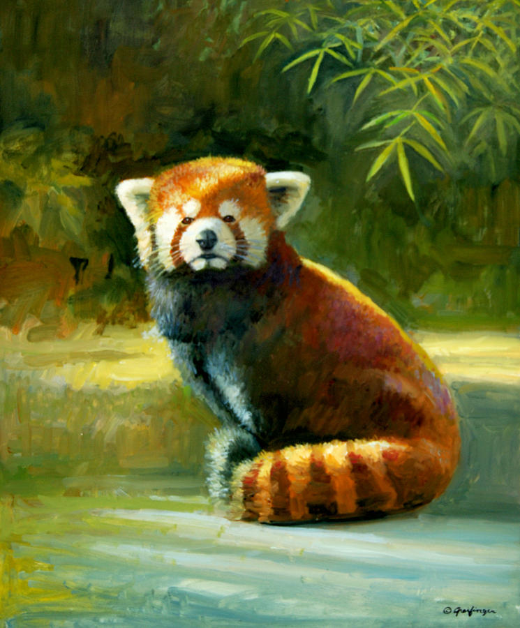 Red Panda by Mel Greifinger Red Panda by Mel Greifinger