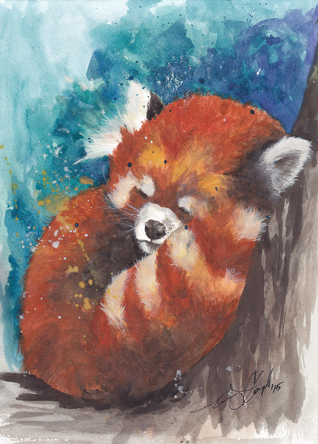 Red panda картины