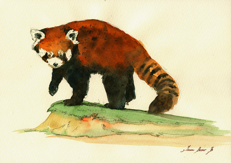 Red Panda Painting - Red Panda walk by Juan  Bosco