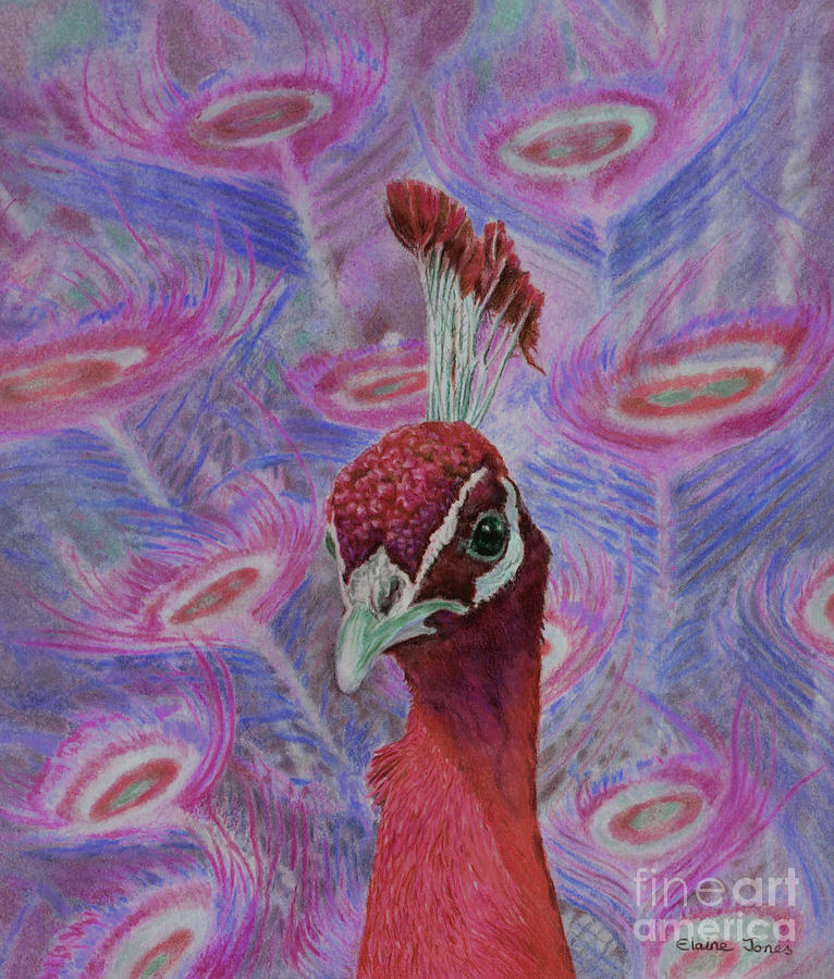 Red Peacock Painting by Elaine Jones