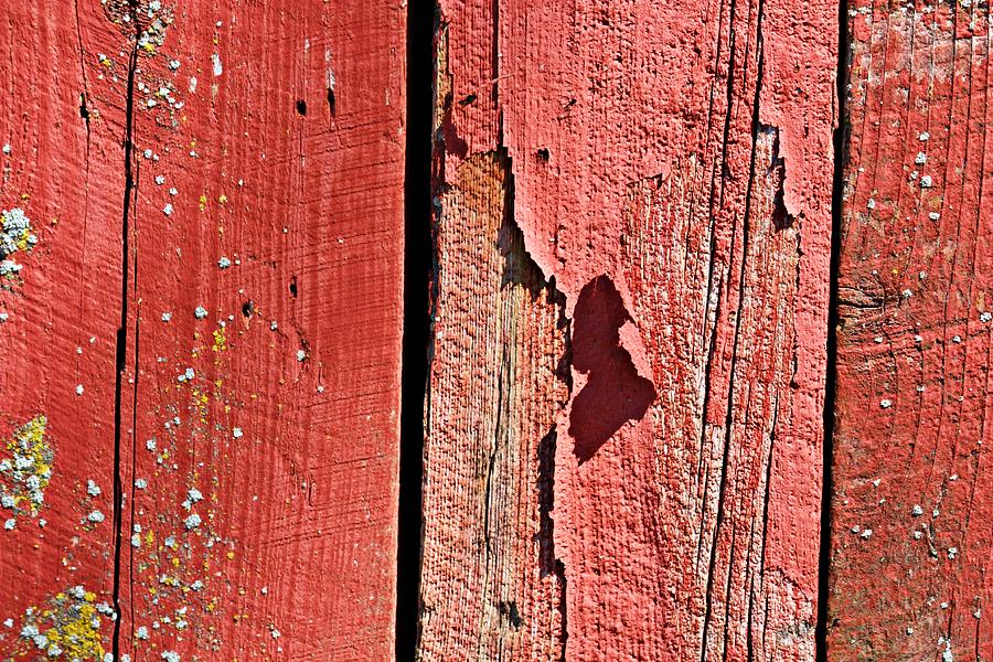 Red Peeling Paint- Fine Art Photograph by KayeCee Spain