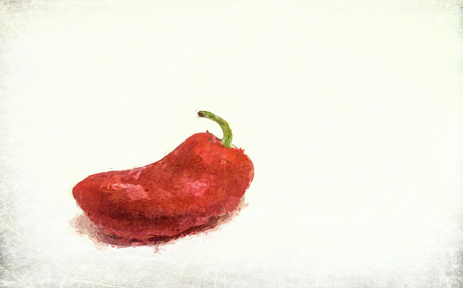 Red Pepper Photograph by Andrea Anderegg