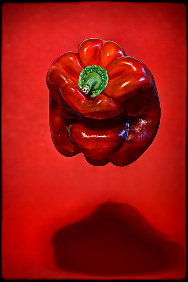 Red Pepper Photograph by Andrei SKY