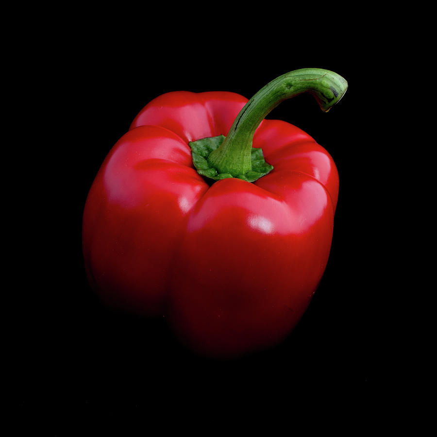 Red Pepper Photograph by Nigel R Bell