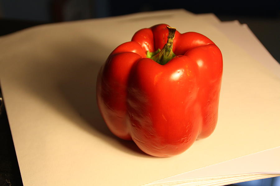 Red Pepper Photograph by Pat Moore