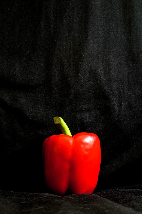 Red Pepper Photograph by Peggy Blackwell