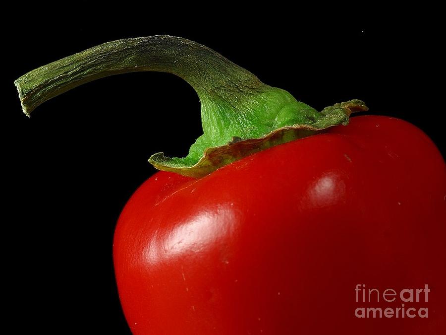 Red Pepper Photograph by Vintage Collectables