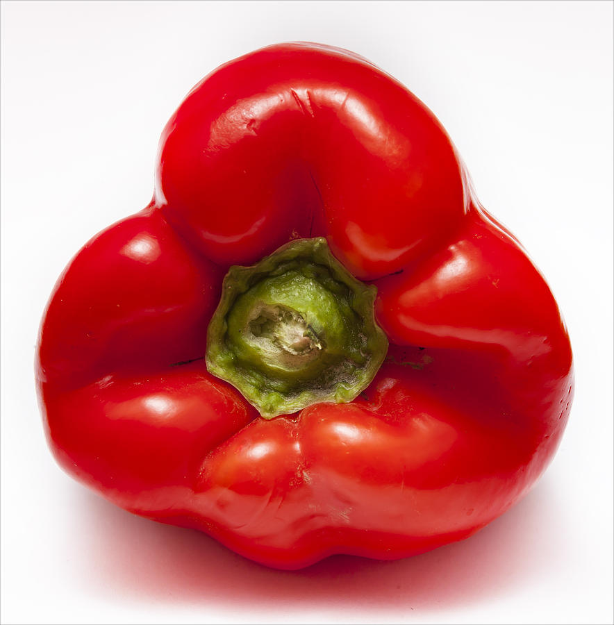 Red Pepper Photograph by Robert Ullmann