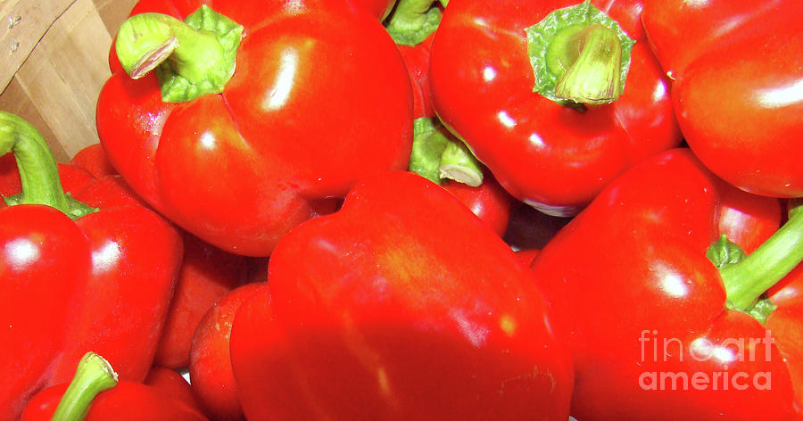 Red Peppers Photograph by Margaret Hamilton