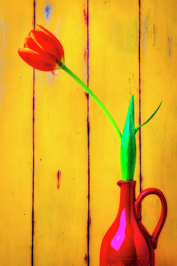 Red Pitcher With Orange Tulip Photograph by Garry Gay